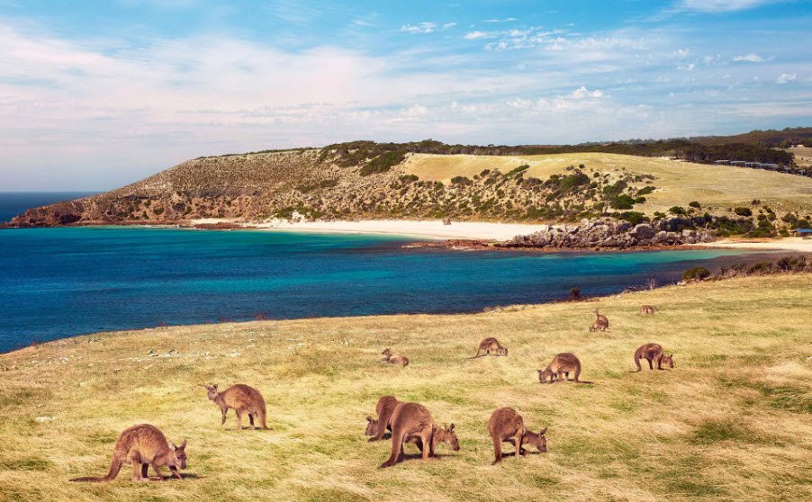 Kangaroo Island, South Australia, Australia